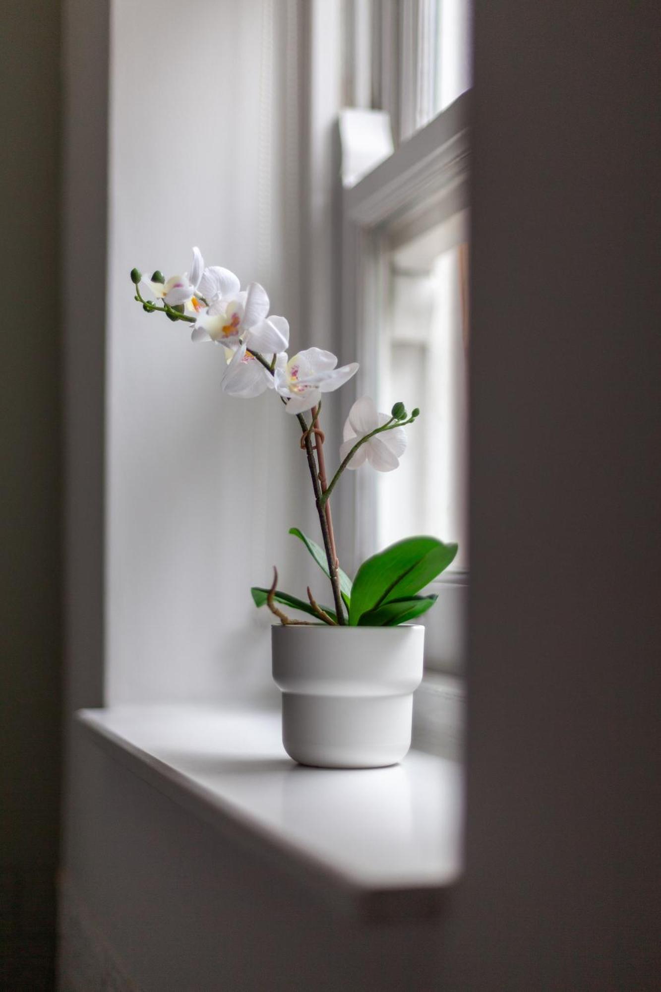 Ferienwohnung The Hackney Luxury Flat London Exterior foto